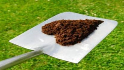 சீரான வளர்ச்சி, தரமான விளைச்சல் தரும் இயற்கை உரம்..