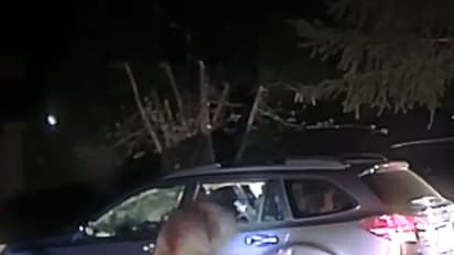 വീഡിയോ: നിർത്തിയിട്ട കാറില് കരടി കയറിയാലെന്ത് ചെയ്യും?