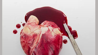 Would you like to bite into these?