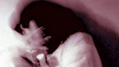 Bihar government recommends CBI inquiry into Muzaffarpur shelter home case