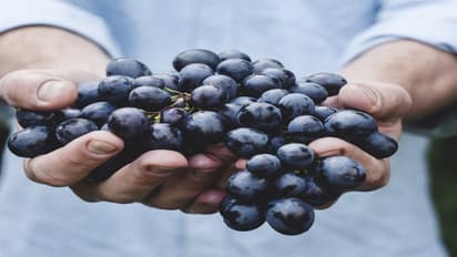 தெரிந்து கொள்ளுங்கள்: கொத்து திராட்சையில் கொட்டிக் கிடக்கும் பயன்கள்…