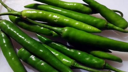 பச்சை மிளகாய் சாப்பிட்டால் நமக்குள் நடக்கும் பத்து அற்புதங்கள்…