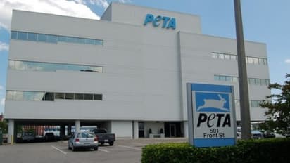 வருமான கணக்குகளை தாக்கல் செய்யாத ‘பீட்டா’ - கடந்த 3 ஆண்டுகளாக மத்திய அரசுக்கு ‘டிமிக்கி’