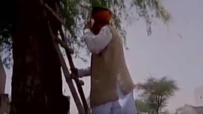 செல்போன் சிக்னல் கிடைக்காததால் மரத்தில் ஏறி பேசிய மத்திய அமைச்சர்… அதிர்ச்சி தகவல்…