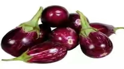 கத்தரிக்காயில் பொதிந்து கிடக்கும் மருத்துவ பலன்கள்…