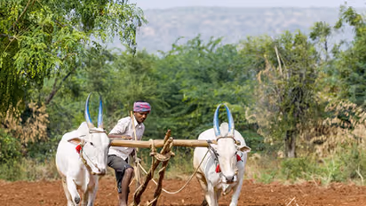 Karnataka CM aims for farmers' hearts, waives off farm loans