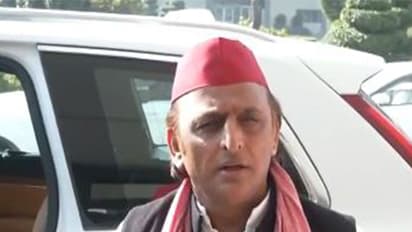'EC is dead, need to gift them white cloth...' Akhilesh Yadav slams poll body over Milkipur bypoll allegations