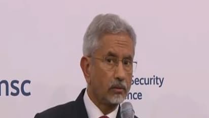 'Don't take it badly': Jaishankar showcases India's democratic strength with inked index finger gesture| WATCH