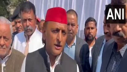  Samajwadi Party chief Akhilesh Yadav (Photo/ANI)