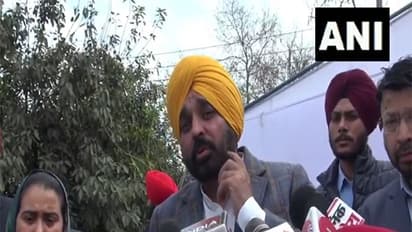  Punjab Chief Minister Bhagwant Mann (Photo/ANI)