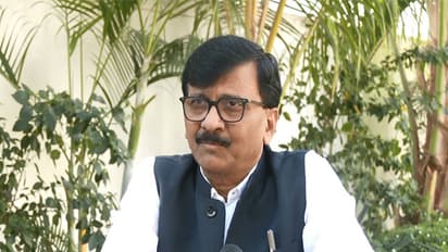 Shiv Sena (UBT) leader Sanjay Raut. (Photo/ANI)