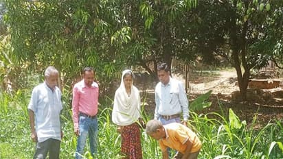 Farmers at work in Dahod, Gujarat (File Photo/@DaoDahod)