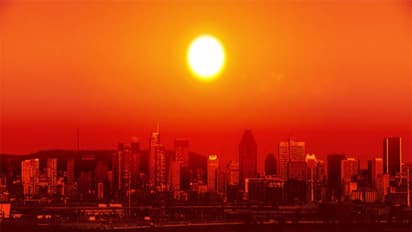 Representative Image (Photo/ Pexels)