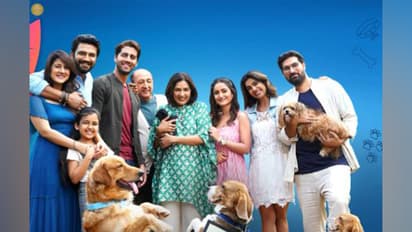 Dil Dosti aur Dogs poster (Image Source: Instagram/@neena_gupta)