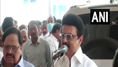 Tamil Nadu Chief Minister MK Stalin (Photo/ANI)
