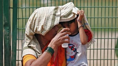 Gujarat on yellow alert as temperature rises, heatwave expected between Feb 25-27