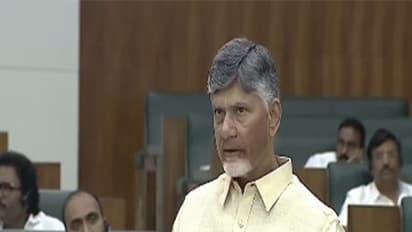 Andhra Pradesh Chief Minister Chandrababu Naidu (Photo: N Chandrababu Naidu/X)