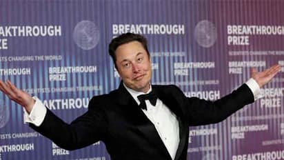 Elon Musk (File Photo/Reuters)