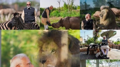 Prime Minister Narendra Modi in Vantara (Photo/@narendramodi)