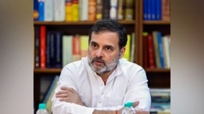 കേരളത്തിൽ ലഹരി ഉപയോഗം വർധിക്കുന്നത് തൊഴിലില്ലായ്മയും ഭാവിയെക്കുറിച്ചുള്ള ആശങ്കയും കാരണം: രാഹുൽ ഗാന്ധി