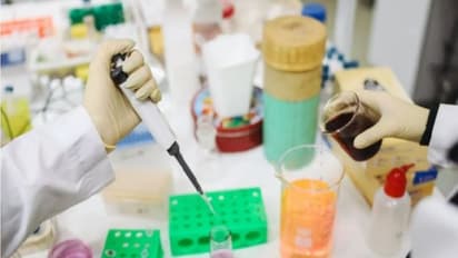 Representative Image (Image/Pexels)