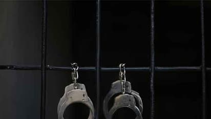 Representative Image (Photo/ANI)