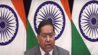 MEA says India-Canada relations strained over Khalistani extremist support, calls for rebuilding ties (WATCH)