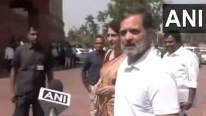 Lok Sabha LoP and Congress MP Rahul Gandhi (Photo/ANI) 