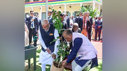 PM Modi, Mauritius PM Ramgoolam jointly plant sapling (Image/ANI)
