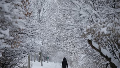 A woman walks a dog along the Rideau Canal during snowfall in Canada (Image Credit: Reuters)