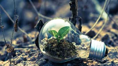 Representative Image (Image/Pexels)