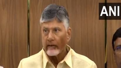 Andhra CM Chandrababu Naidu supports three-language formula in NEP, urges focus on language learning