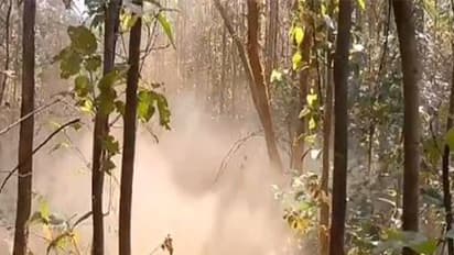 CRPF recovers and destroys two IEDs in Jharkhand's Chaibasa