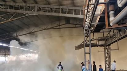 Fire breaks out in waste godown of a paper mill in Kabola village of Gujarat (Photo/ANI)