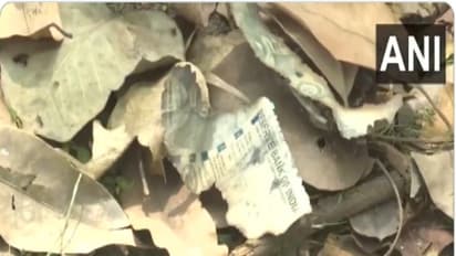 Burnt currency notes found in garbage near Delhi HC judge Yashwant Varma's residence (Photo/ANI)