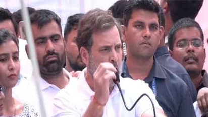 Leader of Opposition Rahul Gandhi (Photo/ANI )