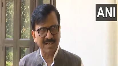 Shiv Sena (UBT) leader Sanjay Raut (Photo/ANI)