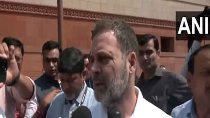 Lok Sabha LoP and Congress leader Rahul Gandhi (Photo/ANI)