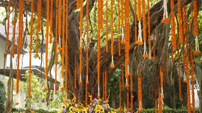 'Historic venues, affordable luxury': Why more couples are choosing India for destination wedding in 2025