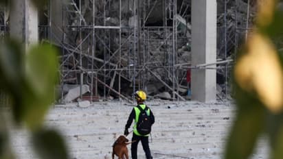 All Indians in Thailand safe, Embassy issues 24/7 emergency helpline after massive earthquake jolts Myanmar