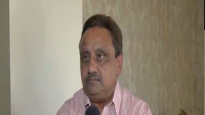 BJP MP Praveen Khandelwal (Photo/ANI)