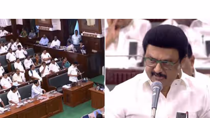 மோட்டார் பொருத்திய இலவச தையல் இயந்திரம், திருமண உதவி தொகை உயர்வு.! ஜாக்பாட் அறிவிப்பை வெளியிட்ட தமிழக அரசு