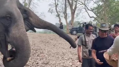 Sachin Tendulkar enjoys his time at Kaziranga National Park; feeds elephants, enjoys jeep safari (WATCH)