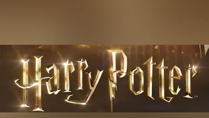 Harry Potter TV series makers announce cast for Dumbledore, Snape, Hagrid and more