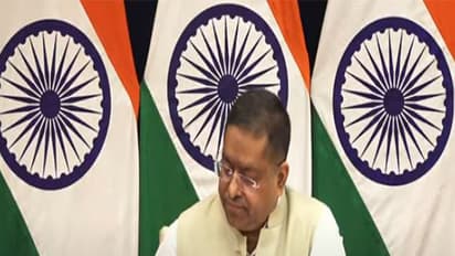 'All bilateral issues will be discussed': MEA on tariff talks during JD Vance's visit (WATCH)