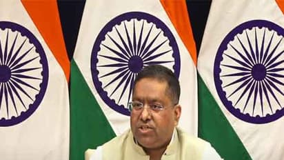 Waqf bill is India's internal matter, aims to be inclusive and progressive: MEA (WATCH)