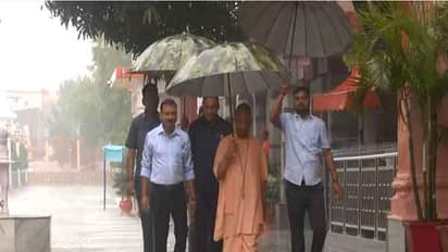 Uttar Pradesh Chief Minister Yogi Adityanath (Photo/ANI)