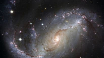 Representative Image (Pexels)