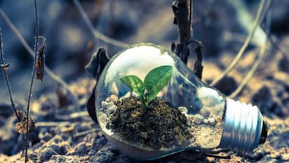 Representative Image (Image/Pexels)