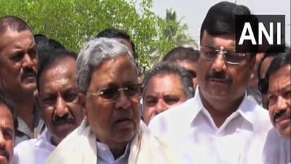 Karnataka Chief Minister Siddaramaiah (Photo/ANI)